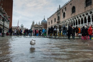 Piazza San Marco