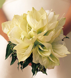 come-scegliere-i-fiori-per-il-matrimonio