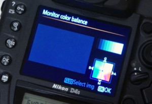 Nikon-D4s-monitor-color-balance
