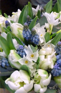 fiori2