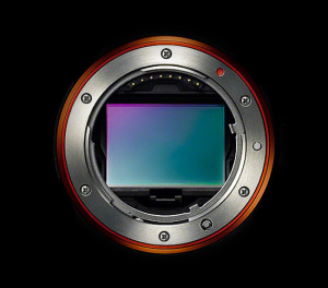 sony full-frame